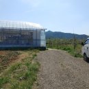 장천카센타 이미지