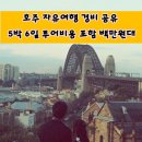 안터정육점 - 원주시 신평안터길 26 | 호주 시드니 자유여행 경비 공유 5박 6일 투어비용 포함 백만원대