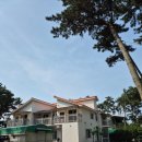 올게이츠1 | [태안] 숙소 추천 '올게이츠'펜션+몽산포해수욕장 해루질 후기+몽산포 수산시장 '금성호'