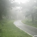 제주 올레길 11코스 이미지