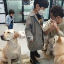 미호모터스