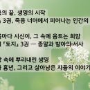 토지-3 이미지