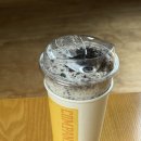 반려견토탈케어서비스 휴안 | [칠곡애견카페] 대구애견카페 ‘컴페니언’ — 넓고 감성 넘치는 공간 + 베이글리 후기!