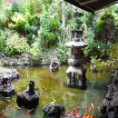 올레길제주고기 이미지