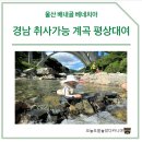 베네치아 | 경남 취사가능 계곡 평상대여 | 울산 배내골 베네치아 (자리추천 및 예약방법)