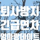 지행태능숯불갈비 | 긴급연차 엄마랑 데이트 : 포천 신북온천 남양주 태능숯불갈비본점 의정부 아나키아 내돈내산 후기 💸