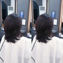 팜스프링상가 - 파주시 금촌동 | 팜스프링상가