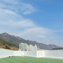 댕댕휴개소 이미지