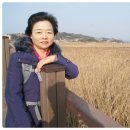 이순신대교 전망대 Daum카페