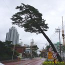 수원 화성문화제(제62회) 정조대왕 능행차 - 2025년09월28일(일) 이미지