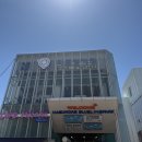 부산갈메기 | 부산 여행 캡슐열차 예약 여름 후기 코스 추천 해변열차 필수