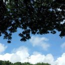 솜반내(솜반천) 이미지