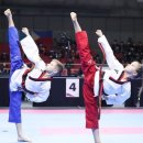 국가대표 국기태권도 이미지