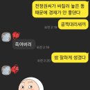 전정권씨 오늘도 애쓰십니다 이미지