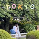 11545-02-05-52 | 일본 도쿄 여행 코스 BEST 5 여자 혼자도 가능한 느좋 루트