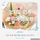 이차돌 양주옥정지구점 | 르뮈에 플로르 양주 옥정꽃집추천 감각적인 졸업식꽃다발