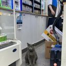 (주)을지로골목대장 송리단길점 | 더워서 찐빵되겠어요.