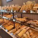 이디야 홍성중앙점 이미지