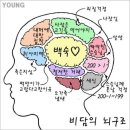 비담은 이미지