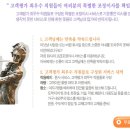 일번지광고 이미지