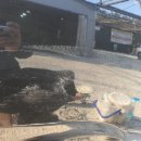 산내셀프세차장 이미지