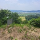 금관부동산중개사무소 이미지