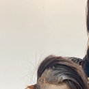 앤디(ND)#179 헤어 이미지