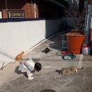 희망사랑어린이집 | 창원(진해) 궁전어린이집 시간제보육 이용 후기