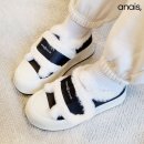 아나이스
