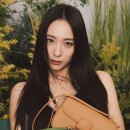 찰스랩