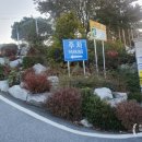 대호특수㈜ | 충북반도체고등학교 수목전지 및 관목잡목제거 조경공사 - 대호조경건설