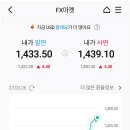 YOON STAY | 나의 USD 투자 후기 (Feat. 윤석열씨의 계엄, USD Investing: A Rollercoaster Ride with Yoon Suk-yeol)