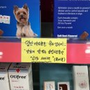 주식회사 하트세이버 이미지