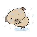 도도펜션 이미지