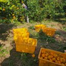 동선농장 이미지