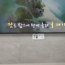 티비이엔지 이미지
