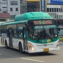 제부로 L 이미지