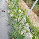 순재농장 이미지