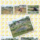 버들농장 이미지