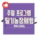 진잠어린이집 | 논산 딸기농장 체험도 하고 백제군사 박물관 견학도 하고♬