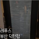 레푸스 사상점 | 부산 발톱무좀 엄지 새끼 발톱 내성발톱 레푸스 관리 가격