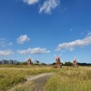 스타벅스 커피 시화로데오점 이미지