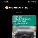 디렌트카 주식회사