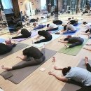 숨고르기 | 부천요가, 숨 고르기 좋은 동네의 힐링 가이드