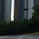 영일대약국 이미지