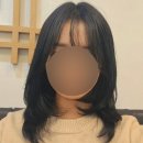 서초 신논현역 미용실 모어온헤어 강남 김지영 디자이너 레이어드펌 후기