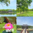 은정나라 | 부여 궁남지 후기, 커플여행으로 다녀온 부여 가볼만한 곳