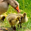 남구로시장 이미지