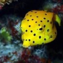 주식회사 다이버스 이미지