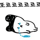 오바마 연탄구이 이미지